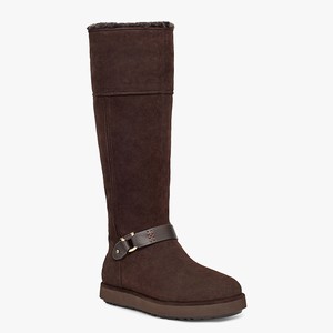 Ugg Classic Berge Tall Suede Women Boots Brown (9208WXIBC)